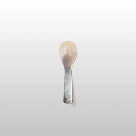 Persepolis Spoons