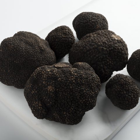 Winter Perigord Truffles